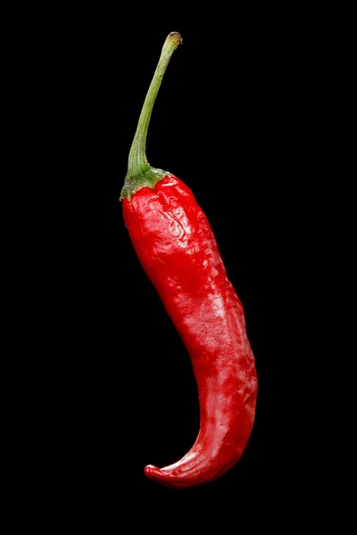 Peperoncino rosso su fondo nero — Foto Stock