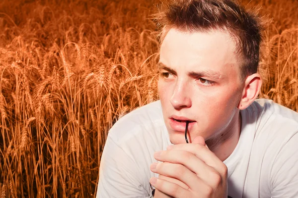 Buğday alanında genç adam görüntüsü — Stok fotoğraf