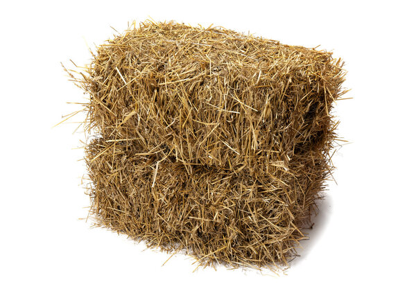 Hay on white background