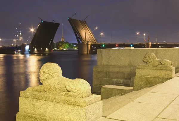 Tažené birzhevoy most v Petrohradu — Stock fotografie