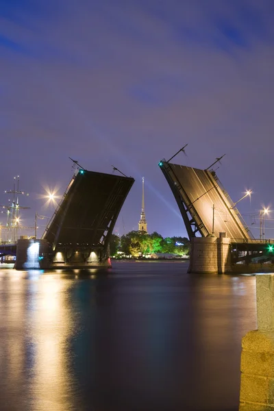 Dessiné pont Birzhevoy à Saint-Pétersbourg — Photo
