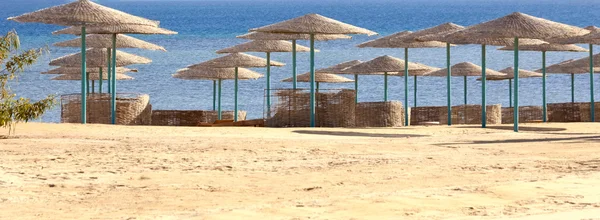 Beach on the bank of the southern sea — Stock Photo, Image