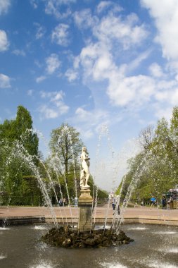 Peterhof, Rusya Federasyonu-Mayıs 19: petrodvorets park çeşme