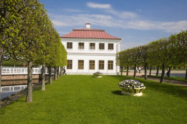 Peterhof, Rusya Federasyonu-Mayıs 19: evde beslenen hayvan Park gazlı bez sarayın görünümü