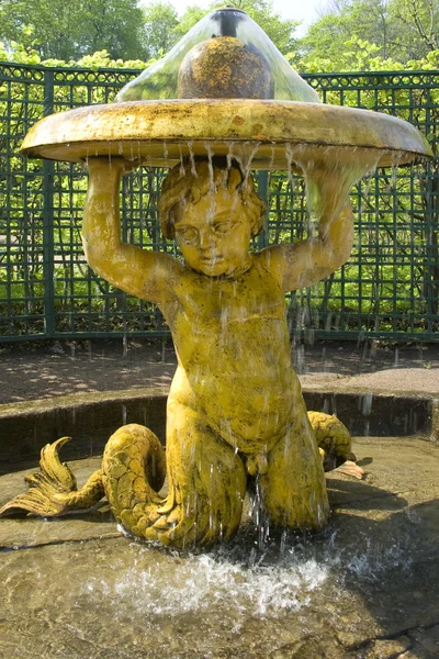 PETERHOF, RUSSIA-19 MAGGIO: La fontana nel parco di Petrodvorets — Foto Stock
