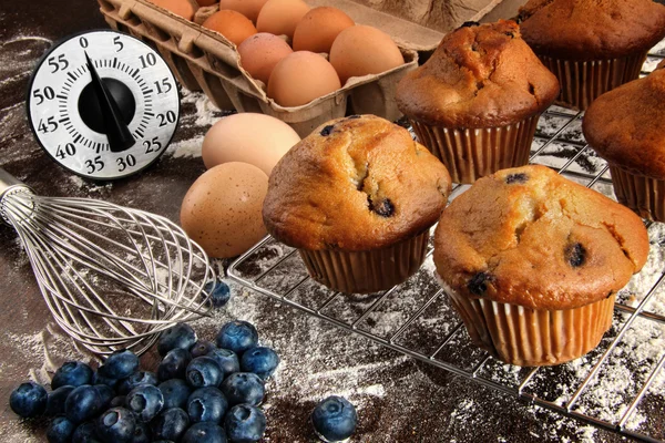 Hemlagad blueberry muffins — Stockfoto