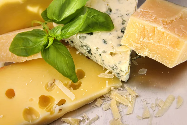 A választék a sajt pult — Stock Fotó