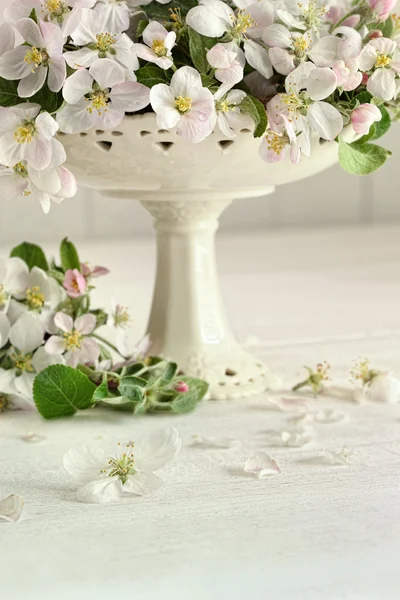 Apple blossoms and gift tag — Stock Photo, Image