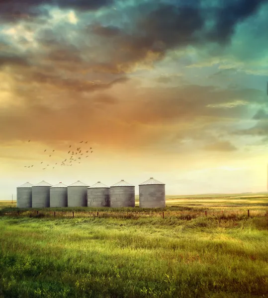 Silos de grãos de pradaria no final do verão — Fotografia de Stock