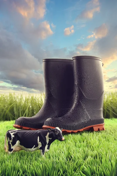 Rubber boots in grass with toy cow — Stock Photo, Image