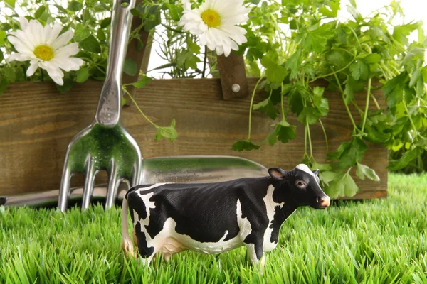 Hierbas de primavera y flores en la hierba con vaca de juguete —  Fotos de Stock