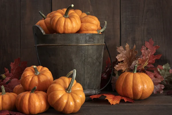 Petites citrouilles dans un seau en bois sur la table — Photo