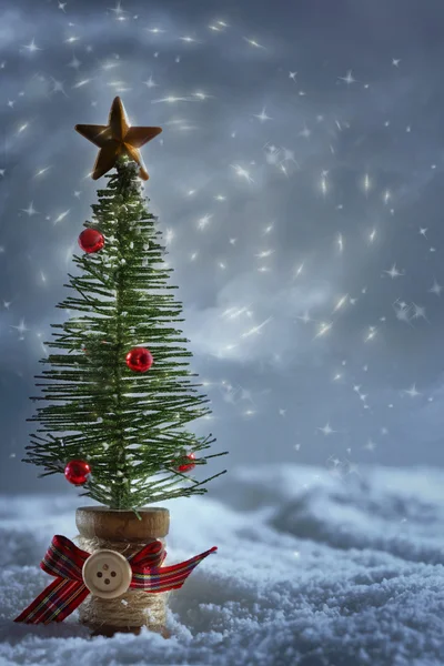 Kleiner Baum im Schnee mit sternenklarem Hintergrund — Stockfoto