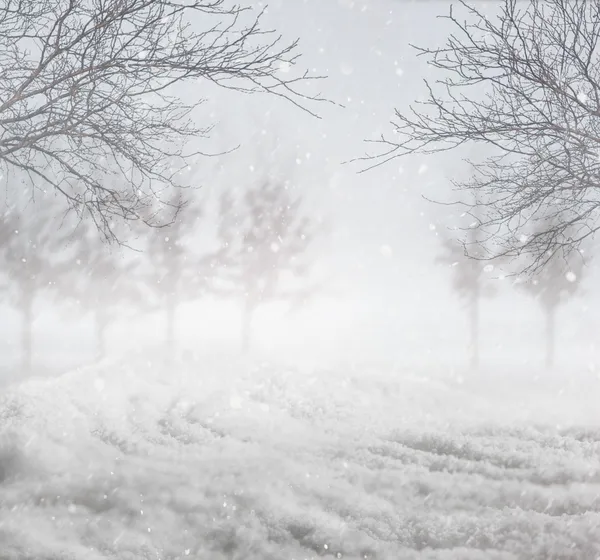 Снежный зимний фон — стоковое фото