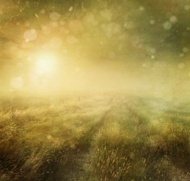 Prairie grasses with vintage color filters clipart