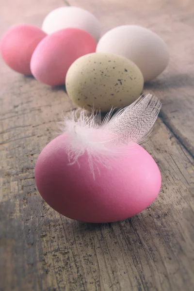 Easter eggs with feather on wooden table — Stock Photo, Image