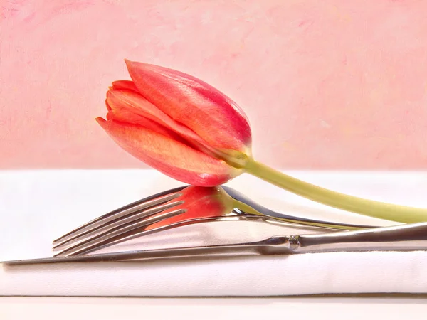 Close-up de flores cosmos com olhar vintage — Fotografia de Stock