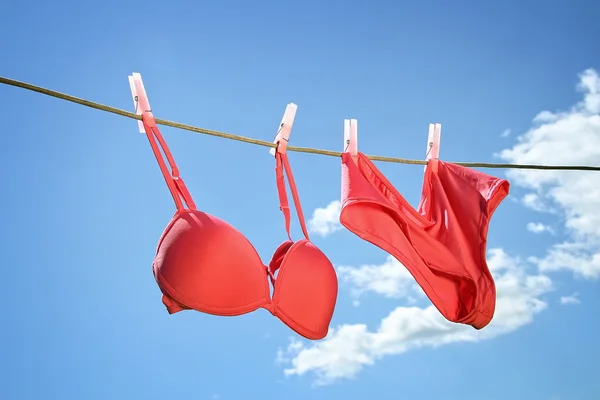 Underwear hanging on clothesline Stock Photo