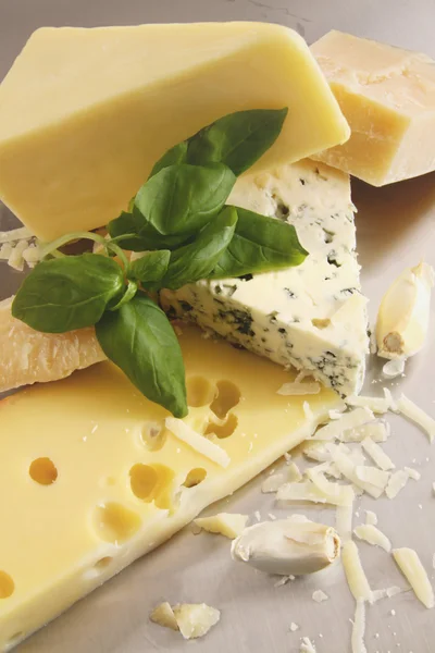 Vários tipos de queijo em inoxidável — Fotografia de Stock