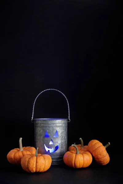 Secchio Latta Halloween Con Piccole Zucche Sfondo Nero Foto Stock Royalty Free