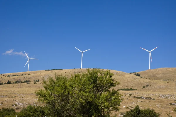 Wind power — Stock Photo, Image