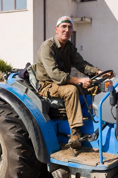 Mann lädt geerntete Trauben auf Traktor — Stockfoto