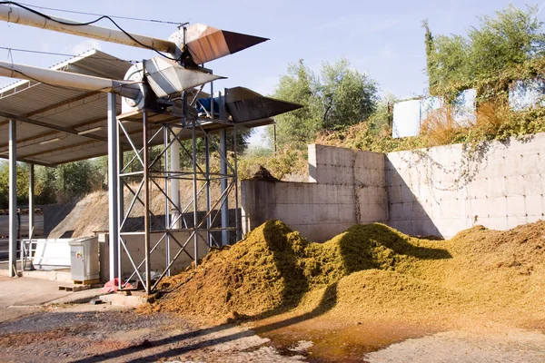 Geoogste druiven voor wijn productie — Stockfoto