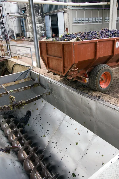 红葡萄葡萄酒生产 — 图库照片