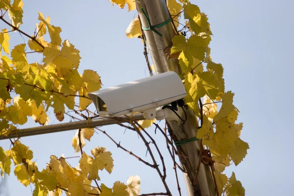 Surveillance equipment — Stock Photo, Image