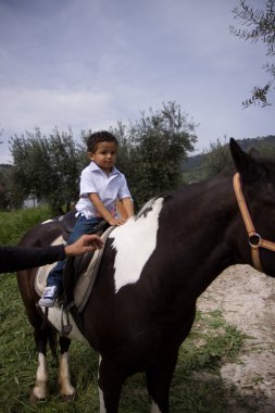 paard en de jongen