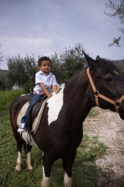 paard en de jongen