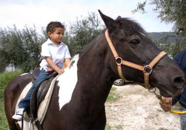 paard en de jongen