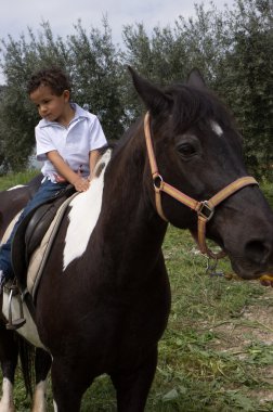 paard en de jongen