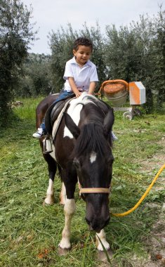 paard en de jongen