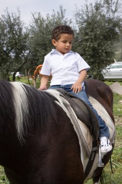 paard en de jongen