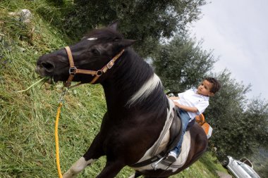 paard en de jongen