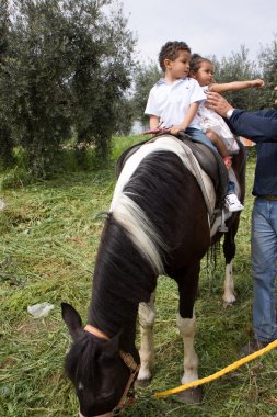 paard en de jongen