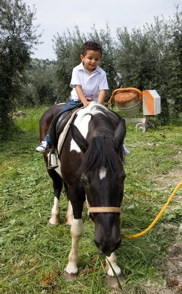 Pferd und Kind — Stockfoto