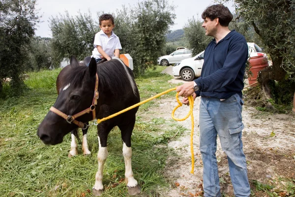 Paard en de jongen — Stok fotoğraf