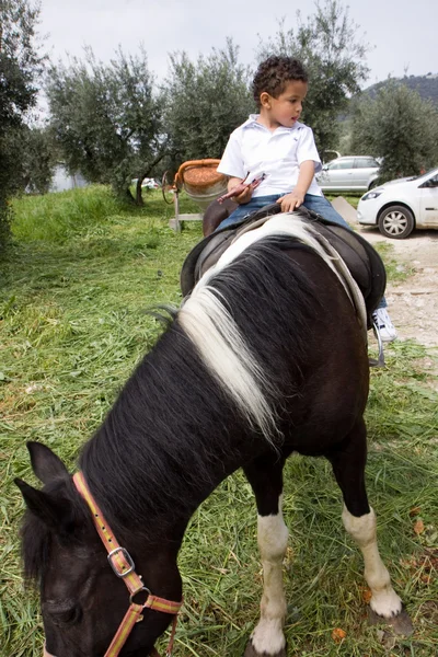 Häst och kid — Stockfoto