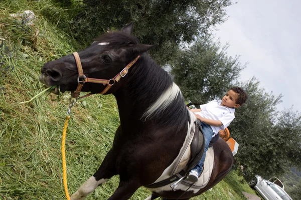 馬と子供 — ストック写真