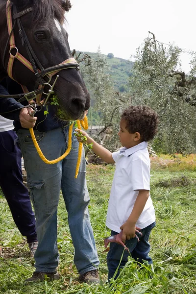 Pferd und Kind — Stockfoto