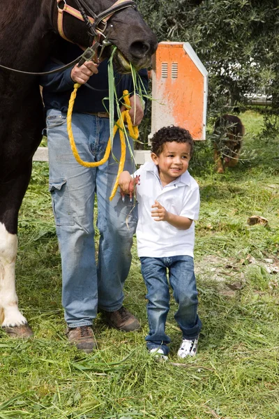 Hevonen ja lapsi — kuvapankkivalokuva