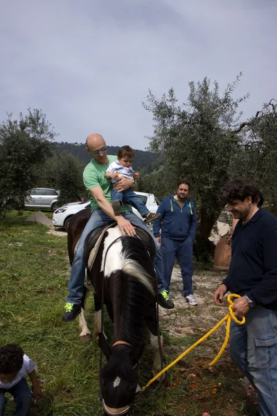 馬と子供 — ストック写真
