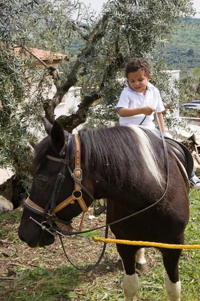 马和孩子 — 图库照片