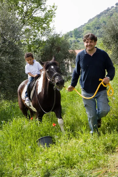 Paard en de jongen — Stok fotoğraf