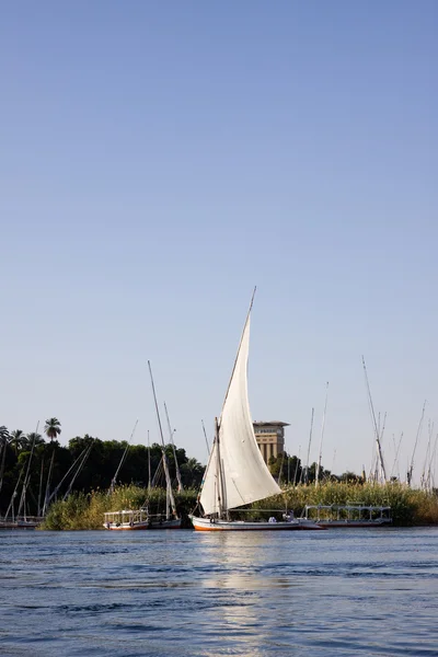 在尼罗河上的帆船 — 图库照片