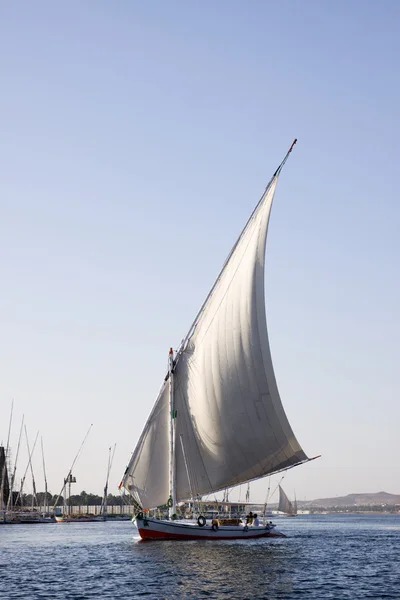 ナイル川の上のヨット — ストック写真