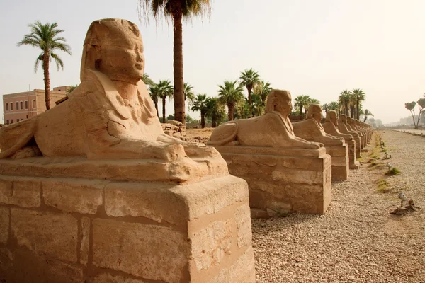 Antiguas ruinas de Luxor — Foto de Stock