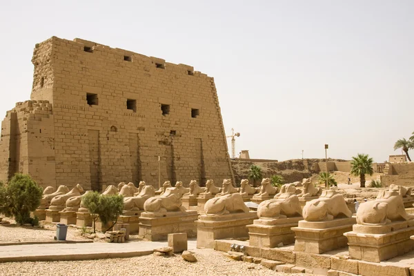 Antické ruiny z Luxoru — Stock fotografie